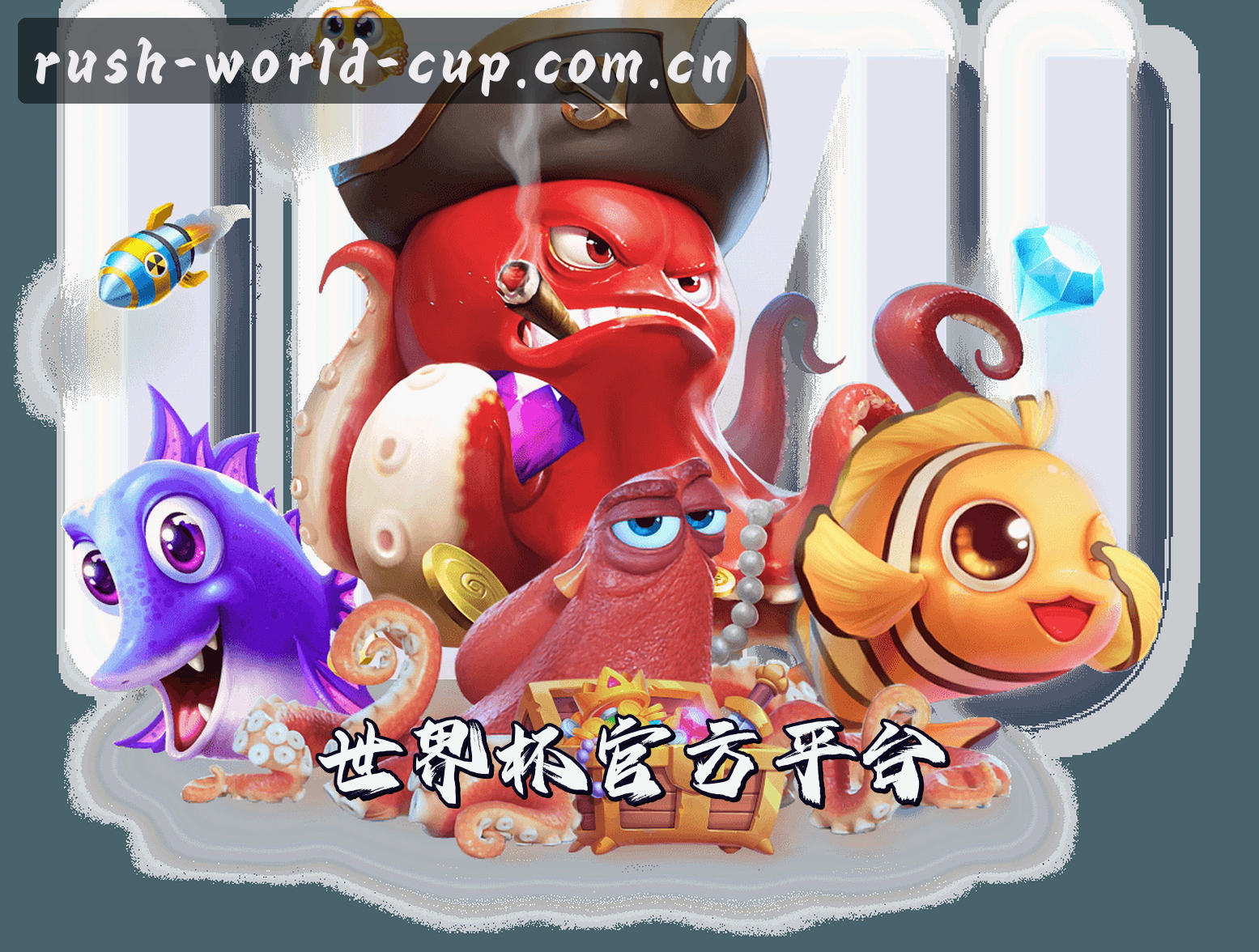 关于我们
